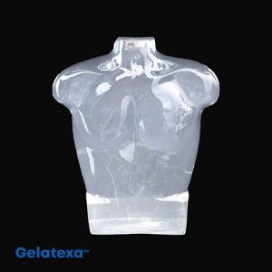 беллистический гель ballistic gel torso